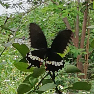 Read more about the article 30.12.20197