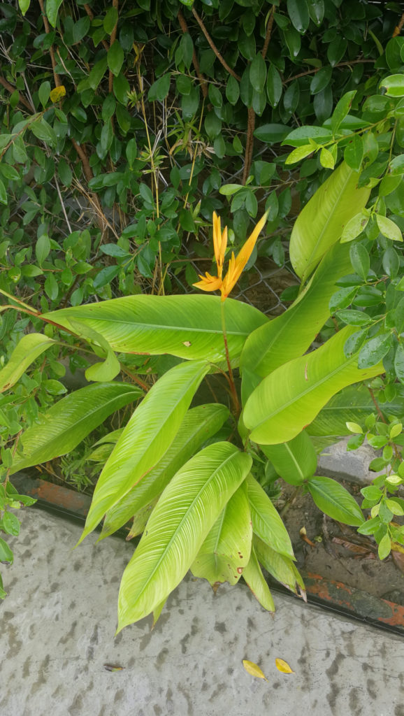 Read more about the article 02.-03.01.2020