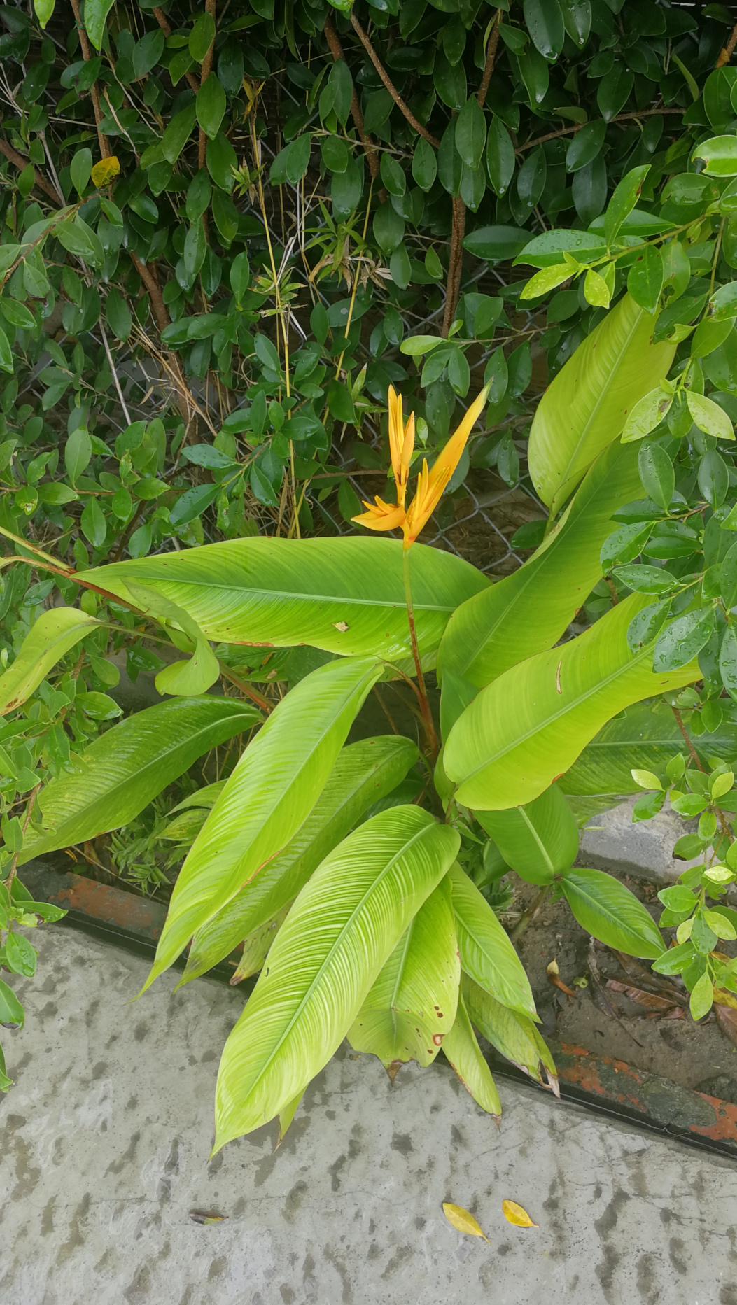 You are currently viewing 02.-03.01.2020