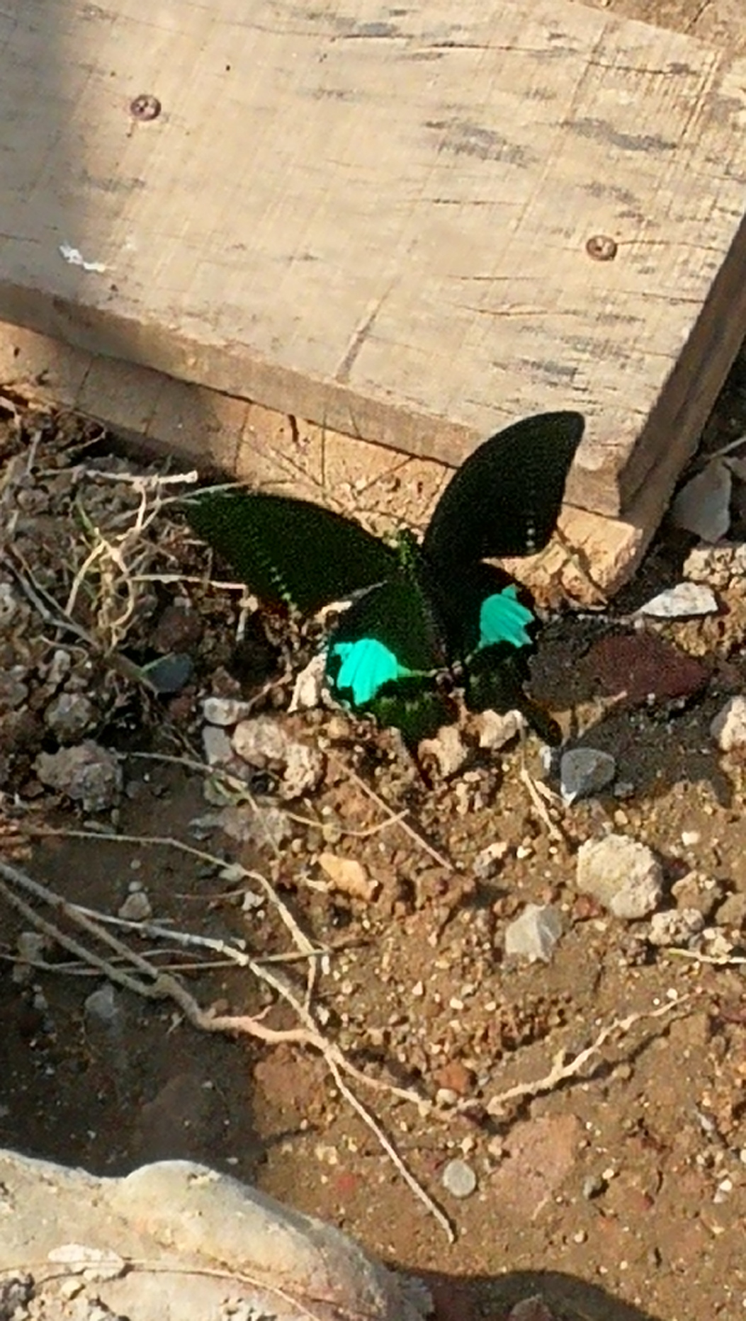 You are currently viewing 13.01.2020