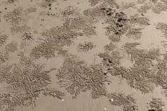 30c8fd49917fc2df84cc0a15d99cfb07ce395f37950dc2c0e9a9f5026766a550