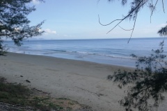 8c756037557dd14c733901047c656922a97f15fd65eaf132a8ea622601b78e44