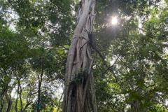 IMG-20200209-WA0007-1